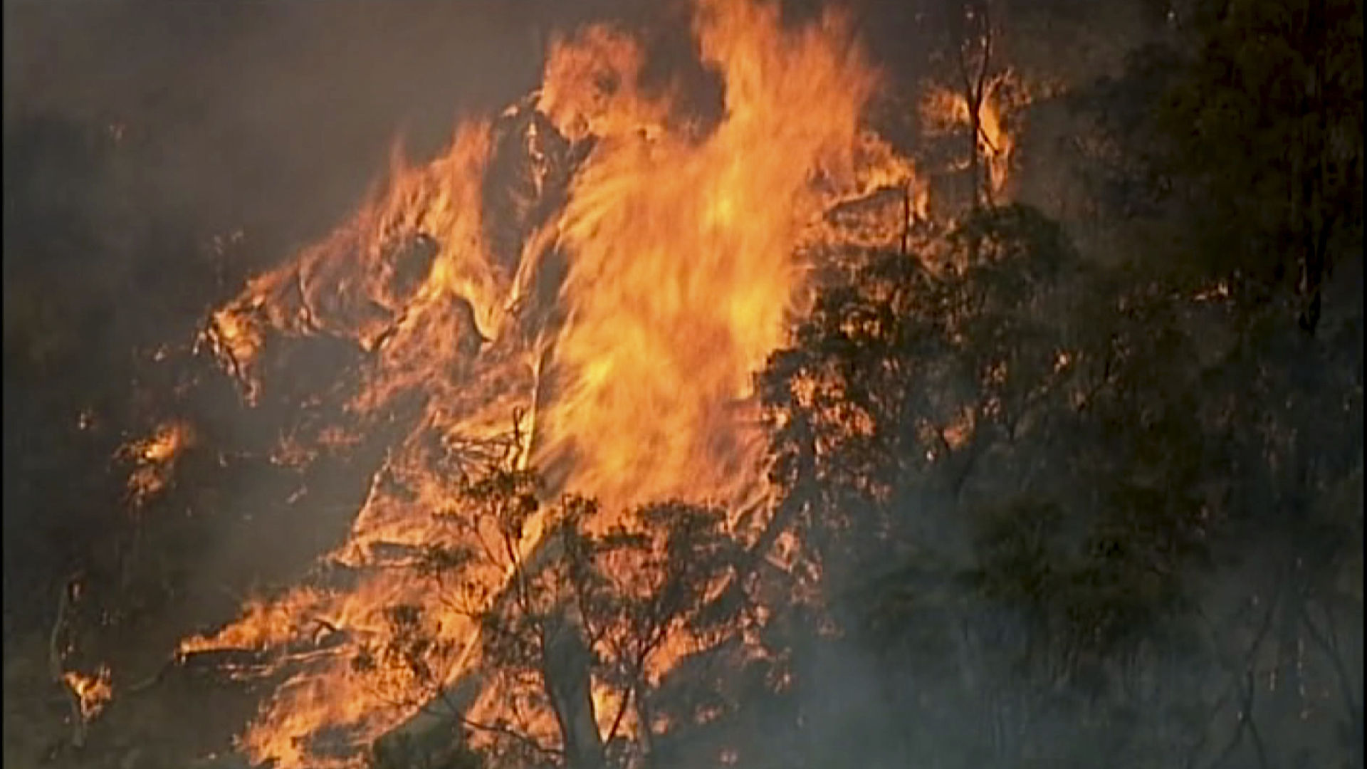 Australia wildfires